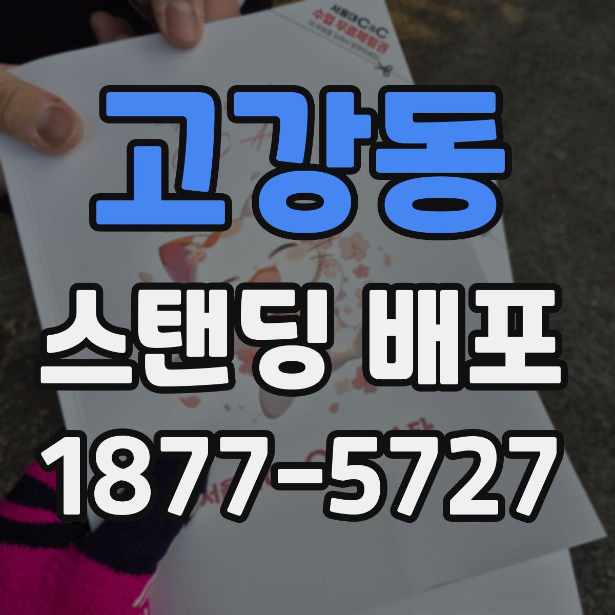 고강동 스탠딩 배포