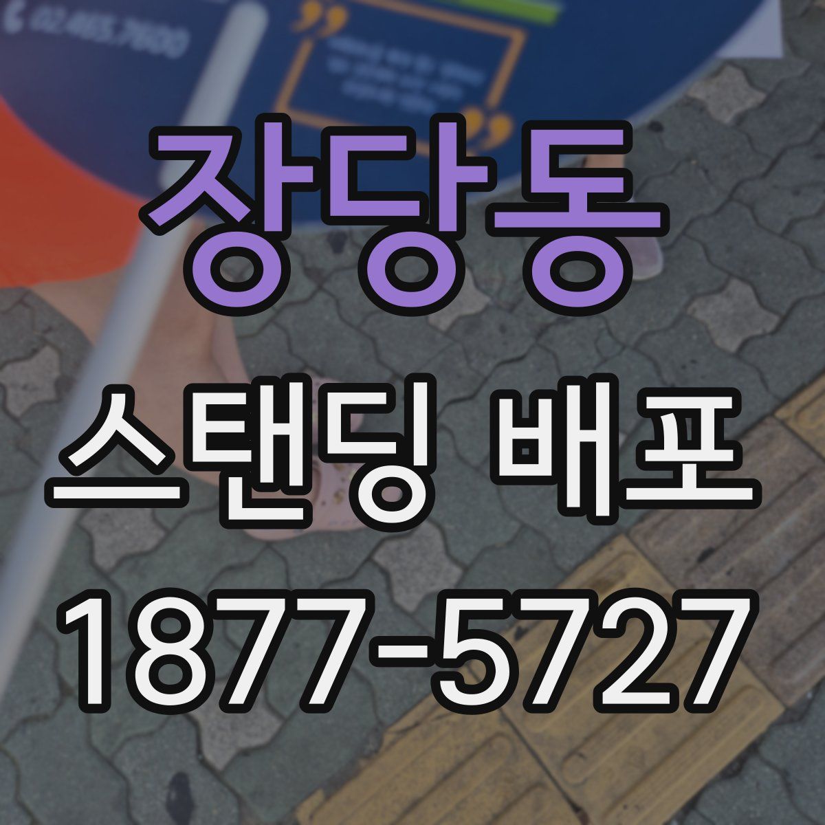 장당동 스탠딩 배포