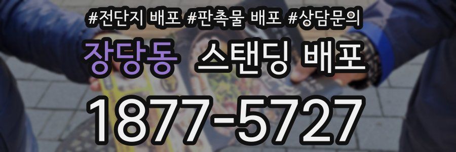장당동 스탠딩 배포