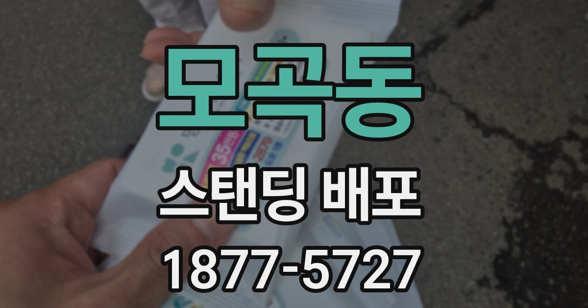 모곡동 스탠딩 배포
