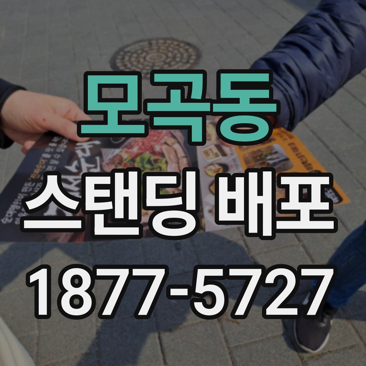 모곡동 스탠딩 배포