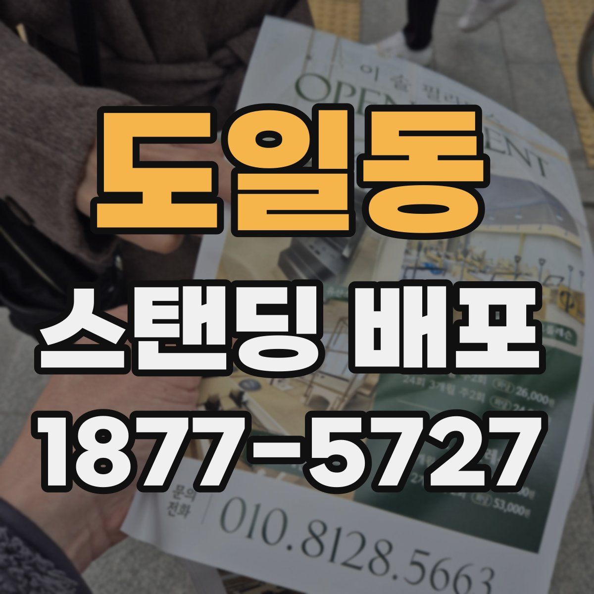 도일동 스탠딩 배포