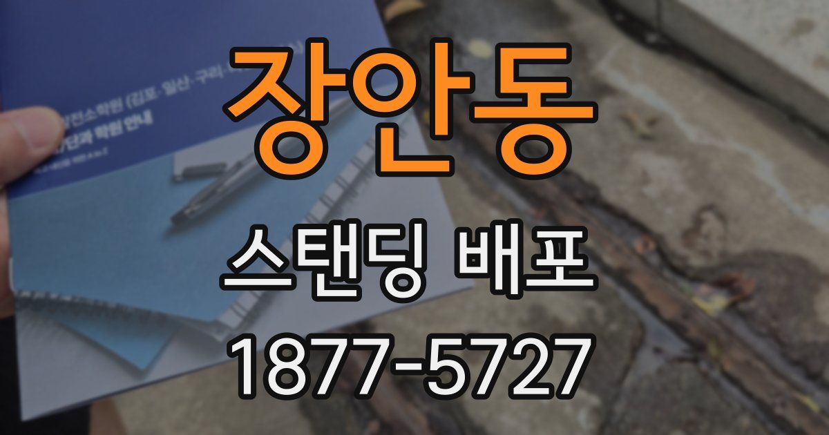 장안동 스탠딩 배포