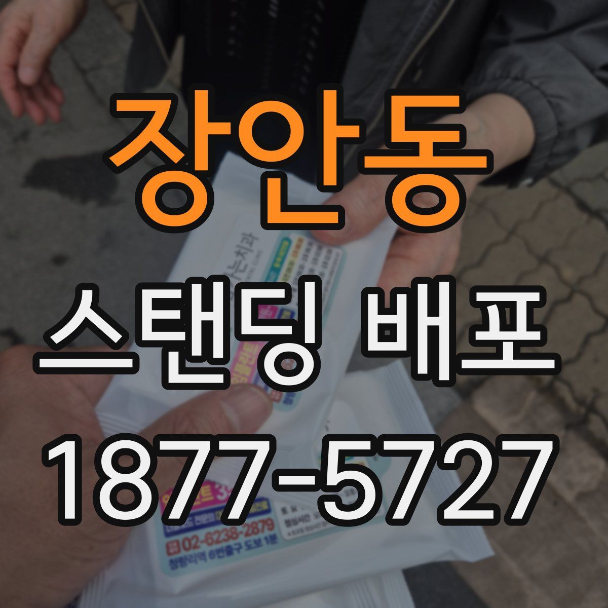 장안동 스탠딩 배포