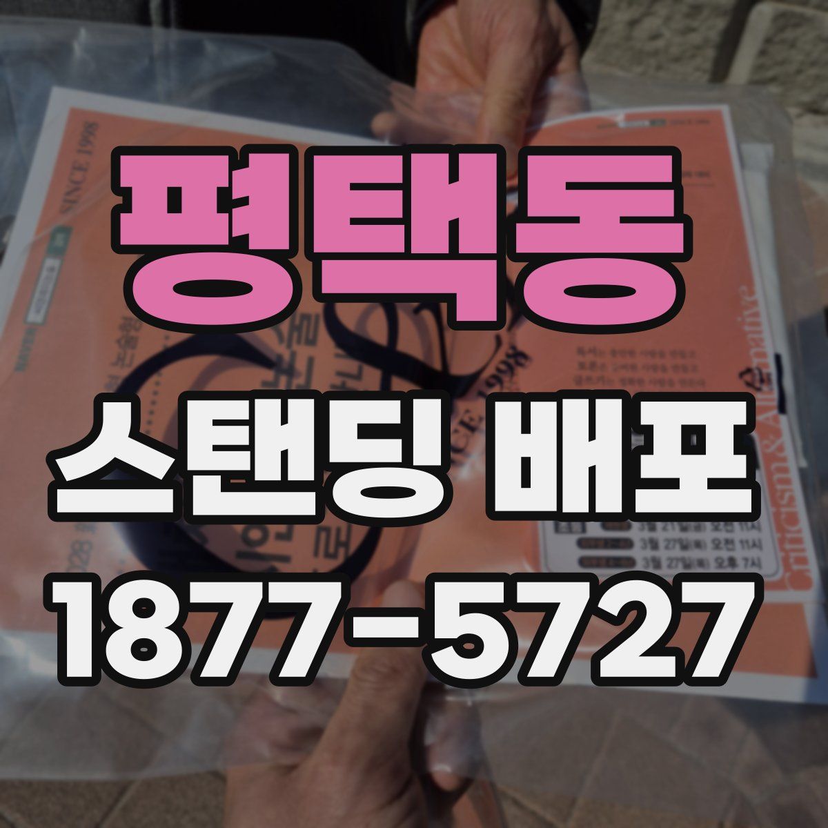 평택동 스탠딩 배포