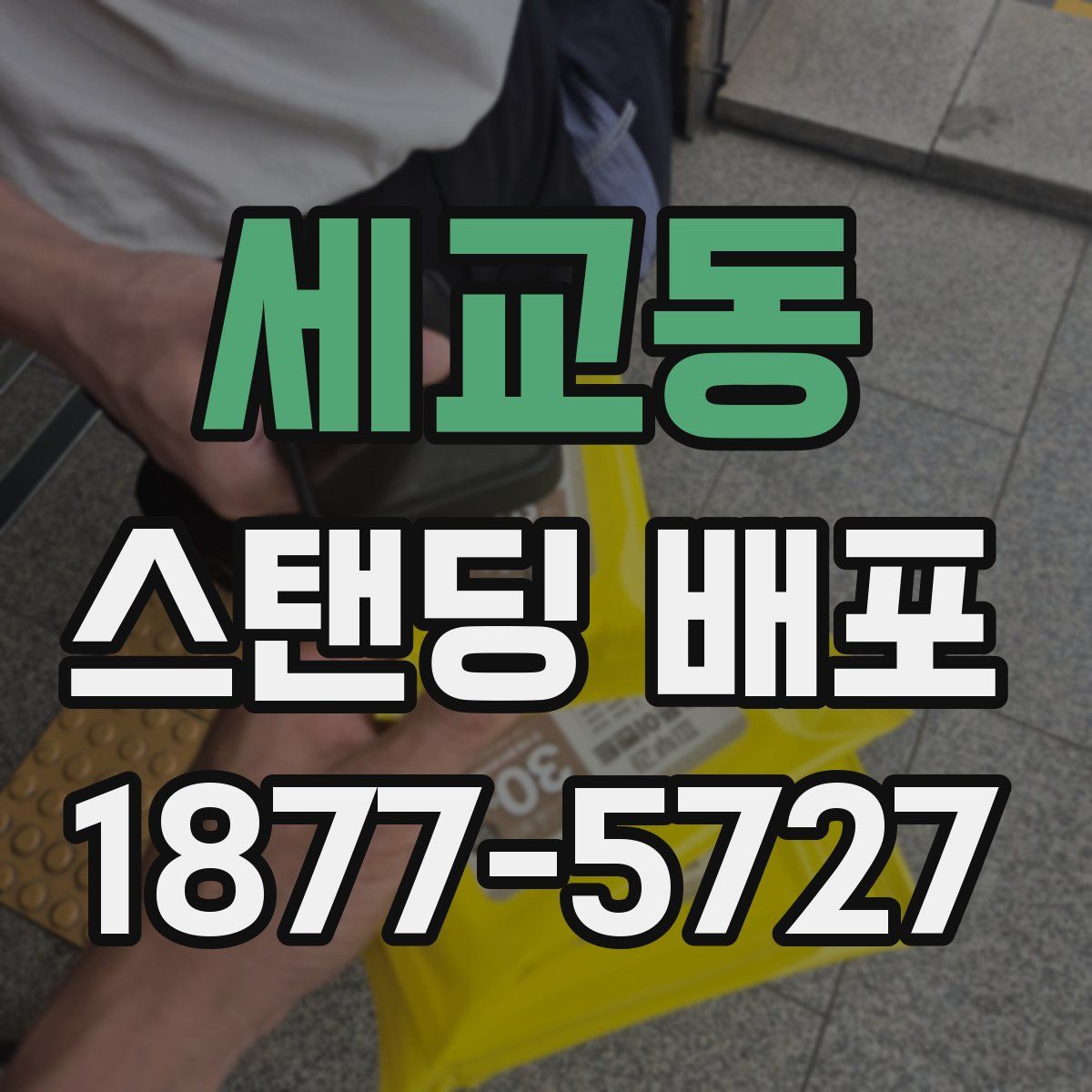 세교동 스탠딩 배포