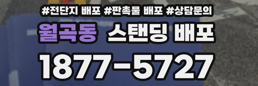 월곡동 스탠딩 배포