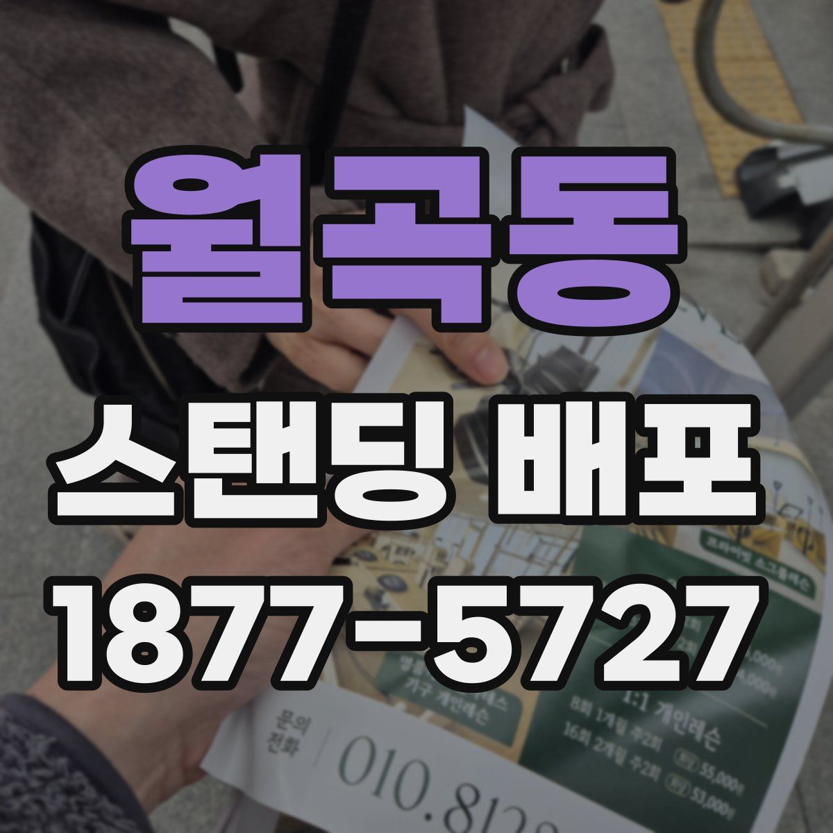 월곡동 스탠딩 배포
