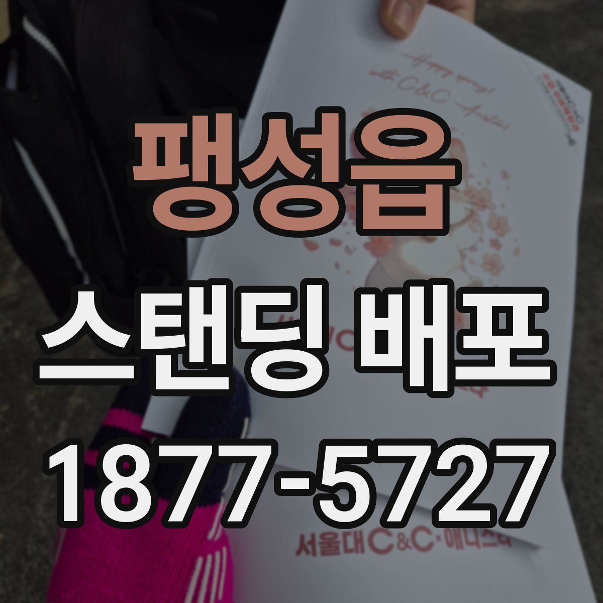 팽성읍 스탠딩 배포