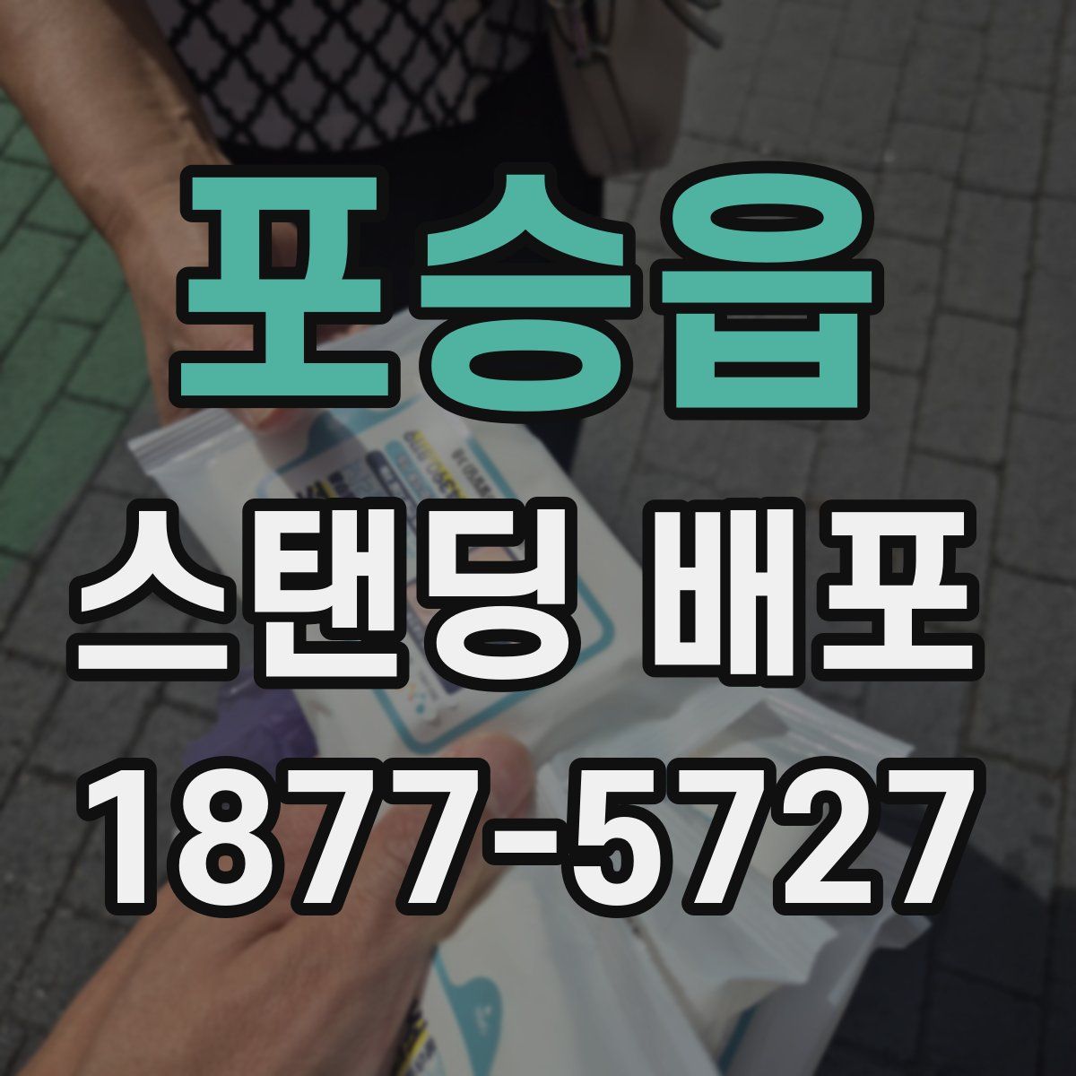 포승읍 스탠딩 배포