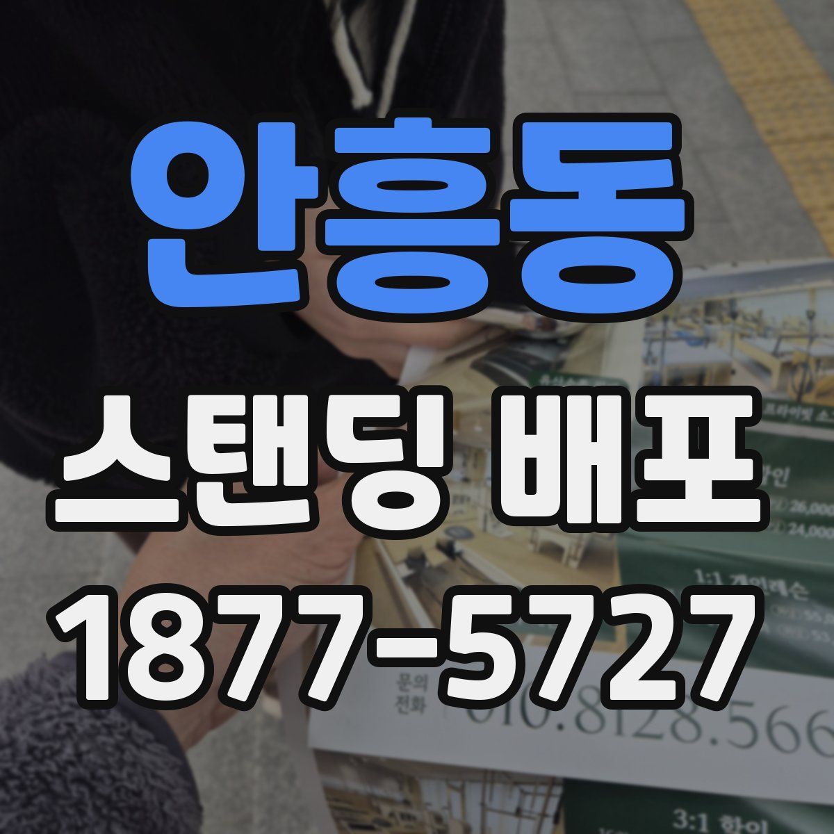 안흥동 스탠딩 배포