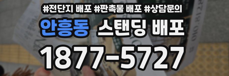 안흥동 스탠딩 배포