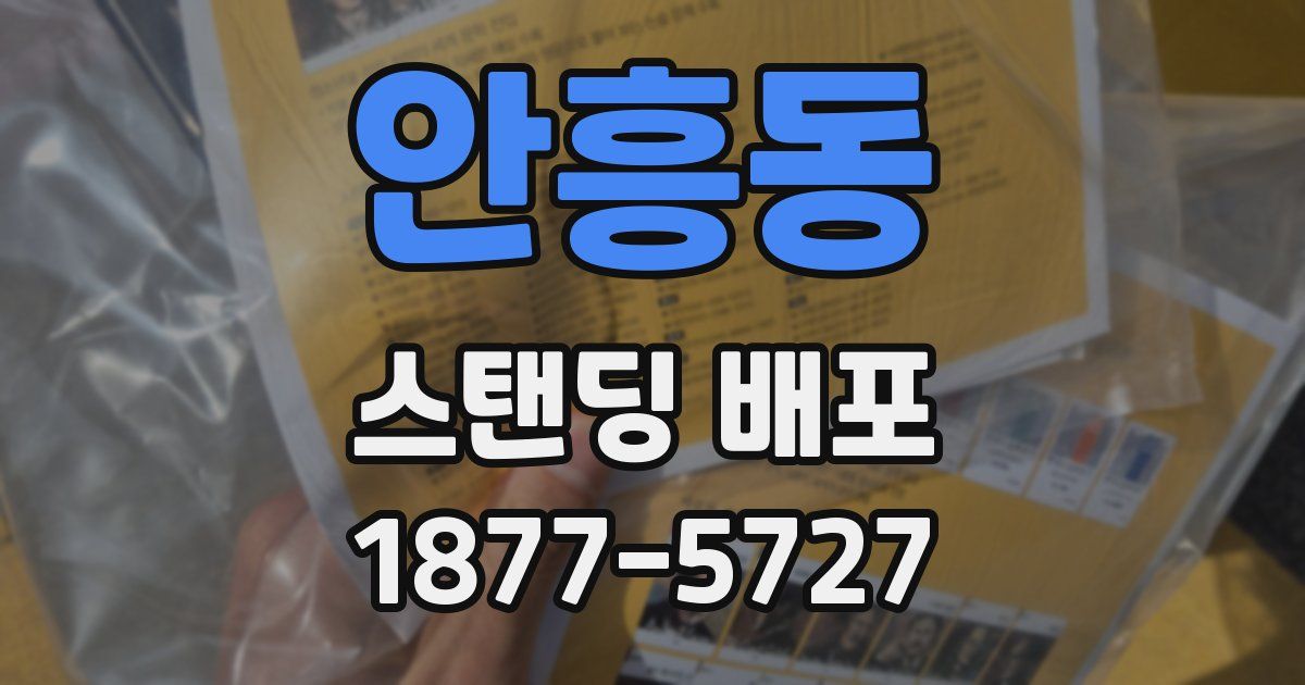 안흥동 스탠딩 배포