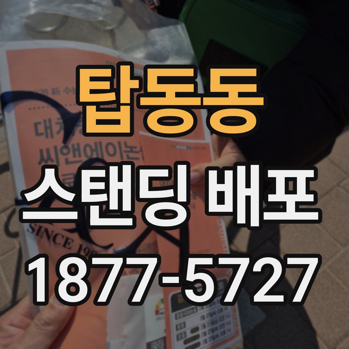 탑동동 스탠딩 배포