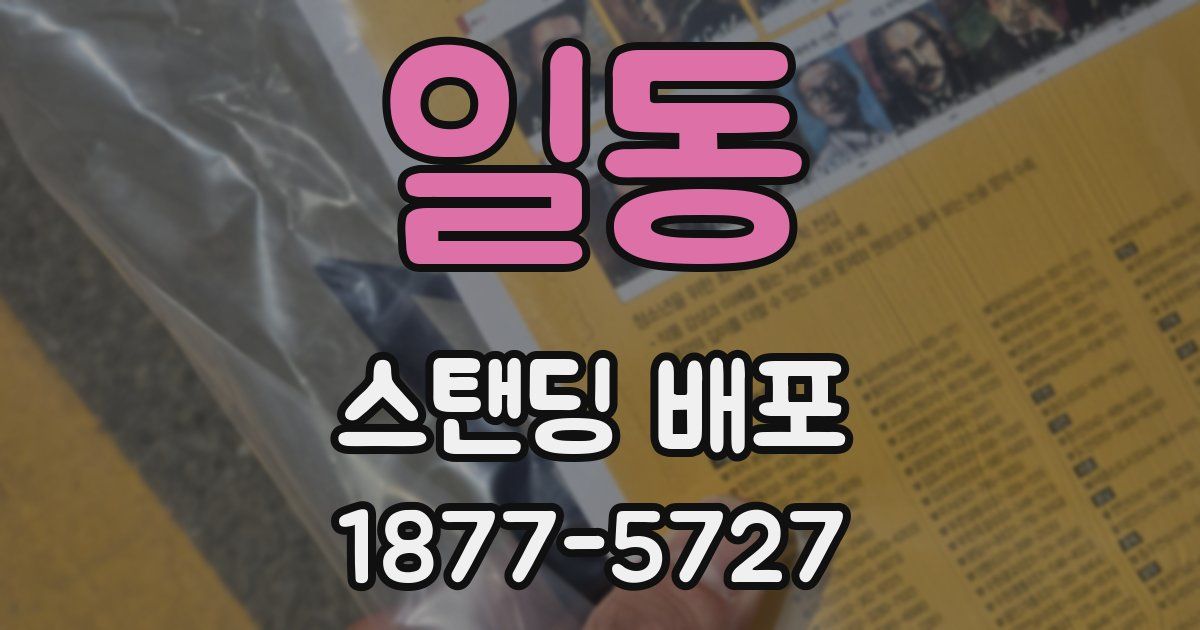 일동 스탠딩 배포