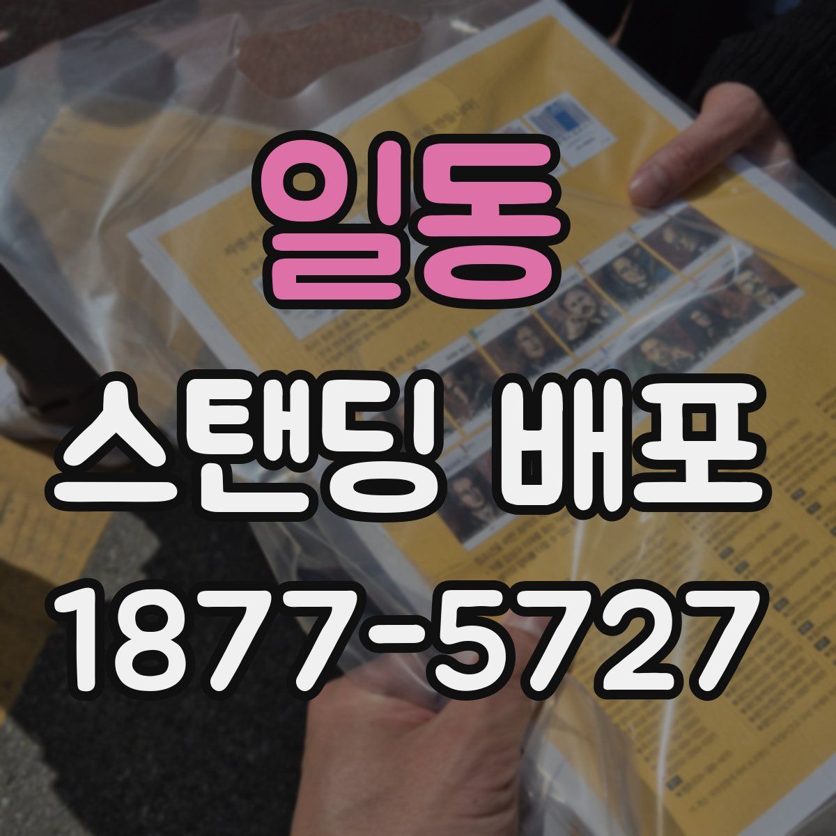 일동 스탠딩 배포