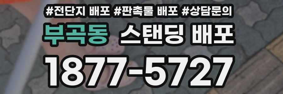 부곡동 스탠딩 배포