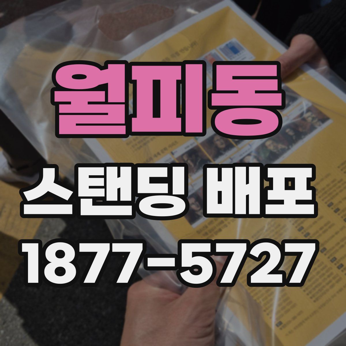 월피동 스탠딩 배포