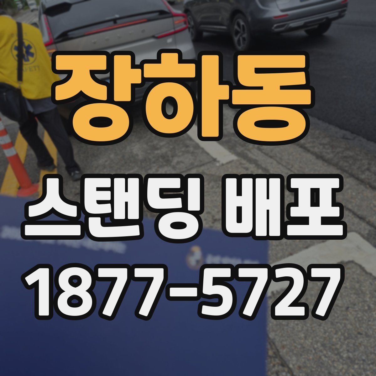장하동 스탠딩 배포