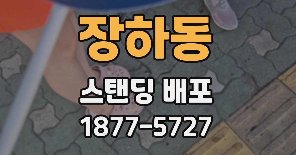 장하동 스탠딩 배포
