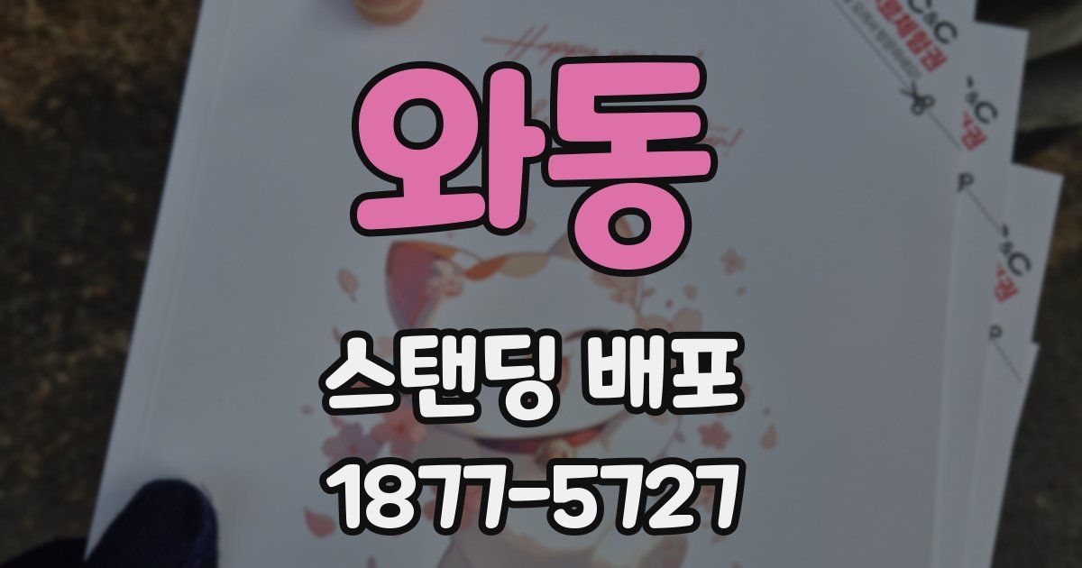와동 스탠딩 배포