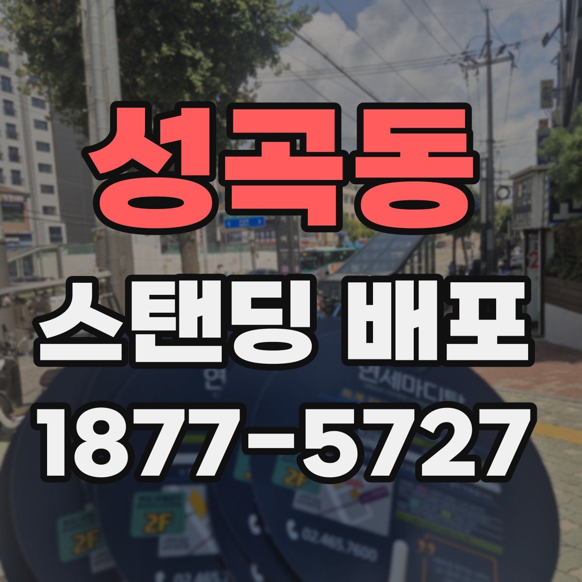 성곡동 스탠딩 배포