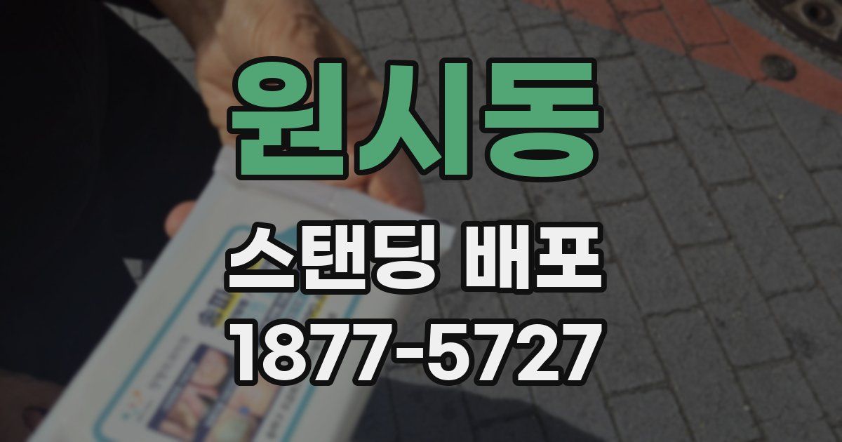 원시동 스탠딩 배포