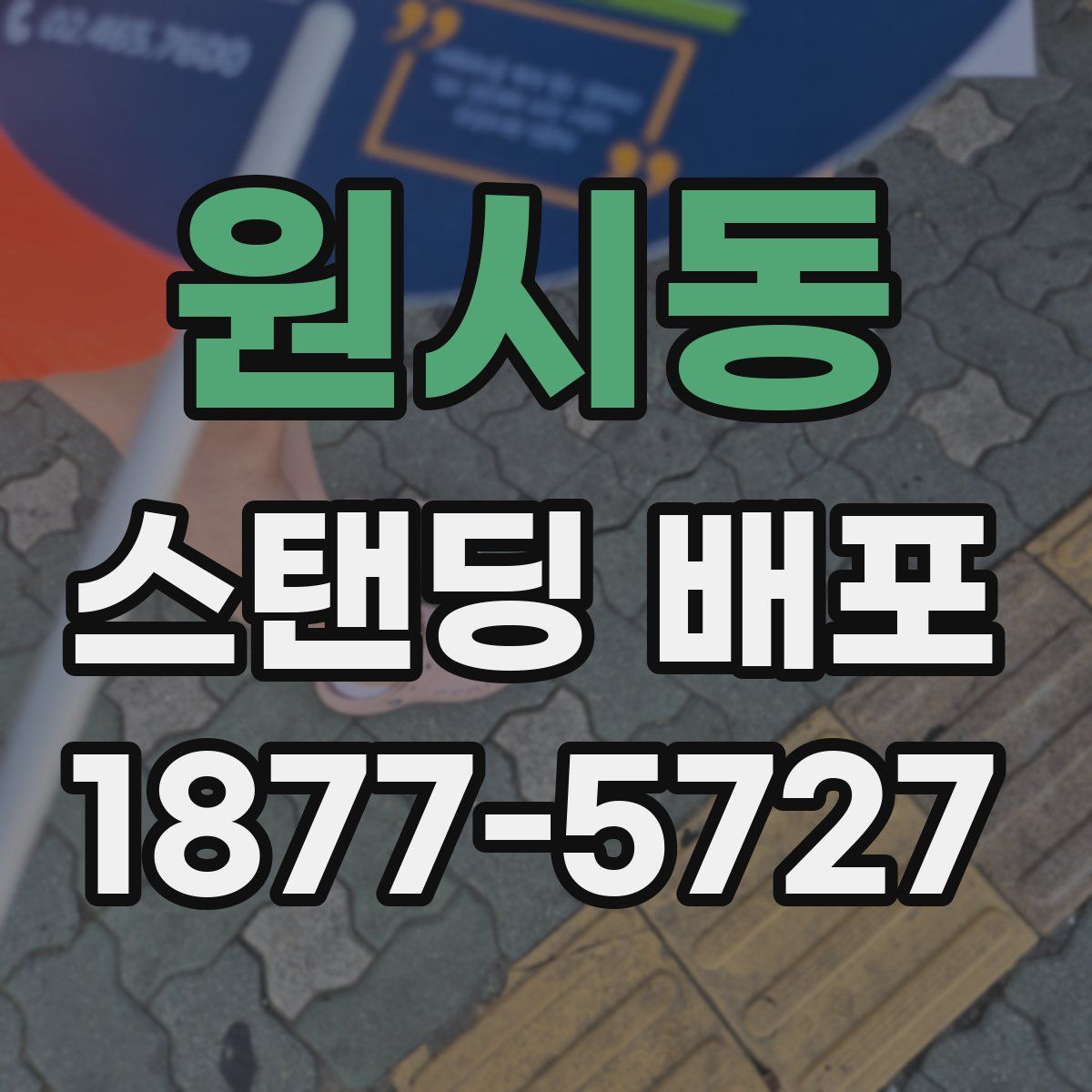 원시동 스탠딩 배포