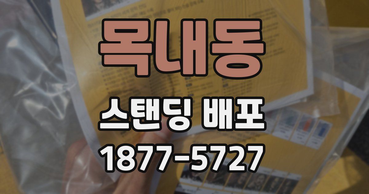 목내동 스탠딩 배포