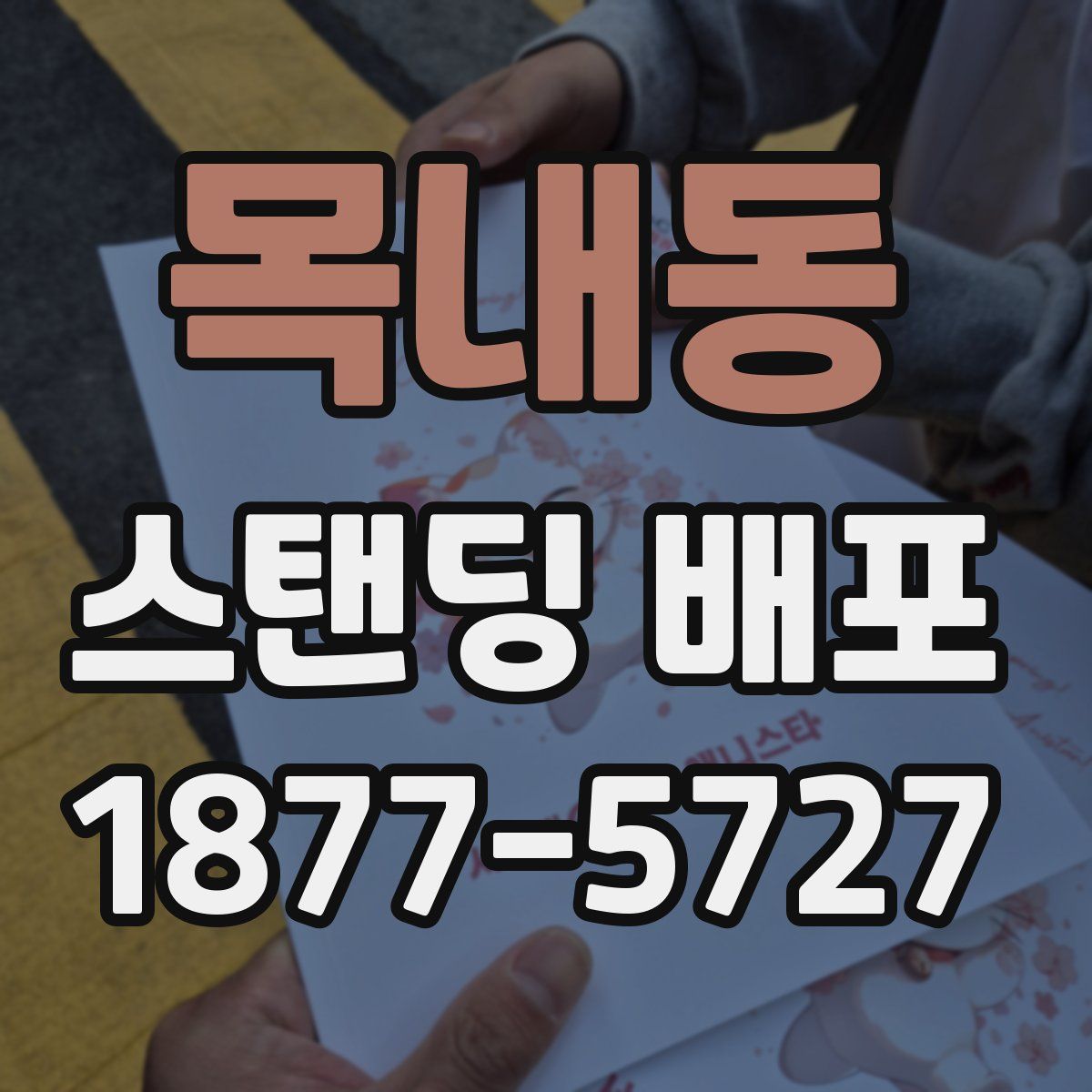 목내동 스탠딩 배포