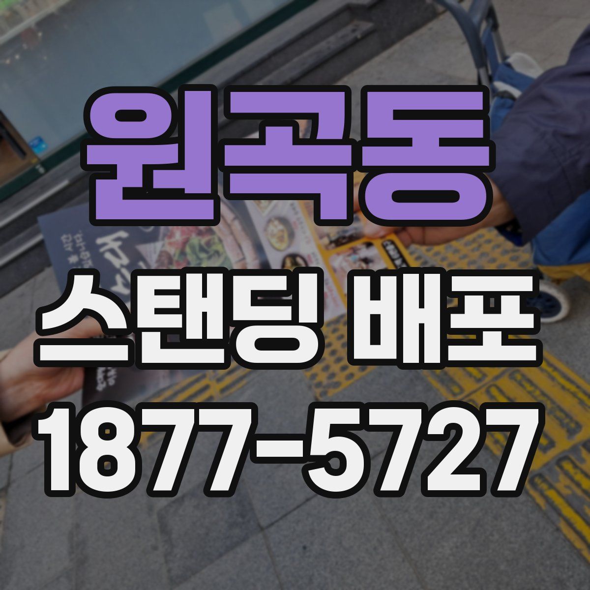 원곡동 스탠딩 배포