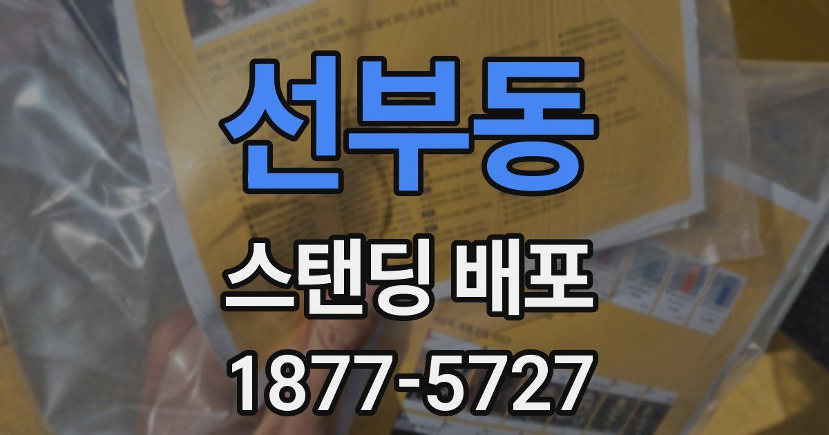 선부동 스탠딩 배포