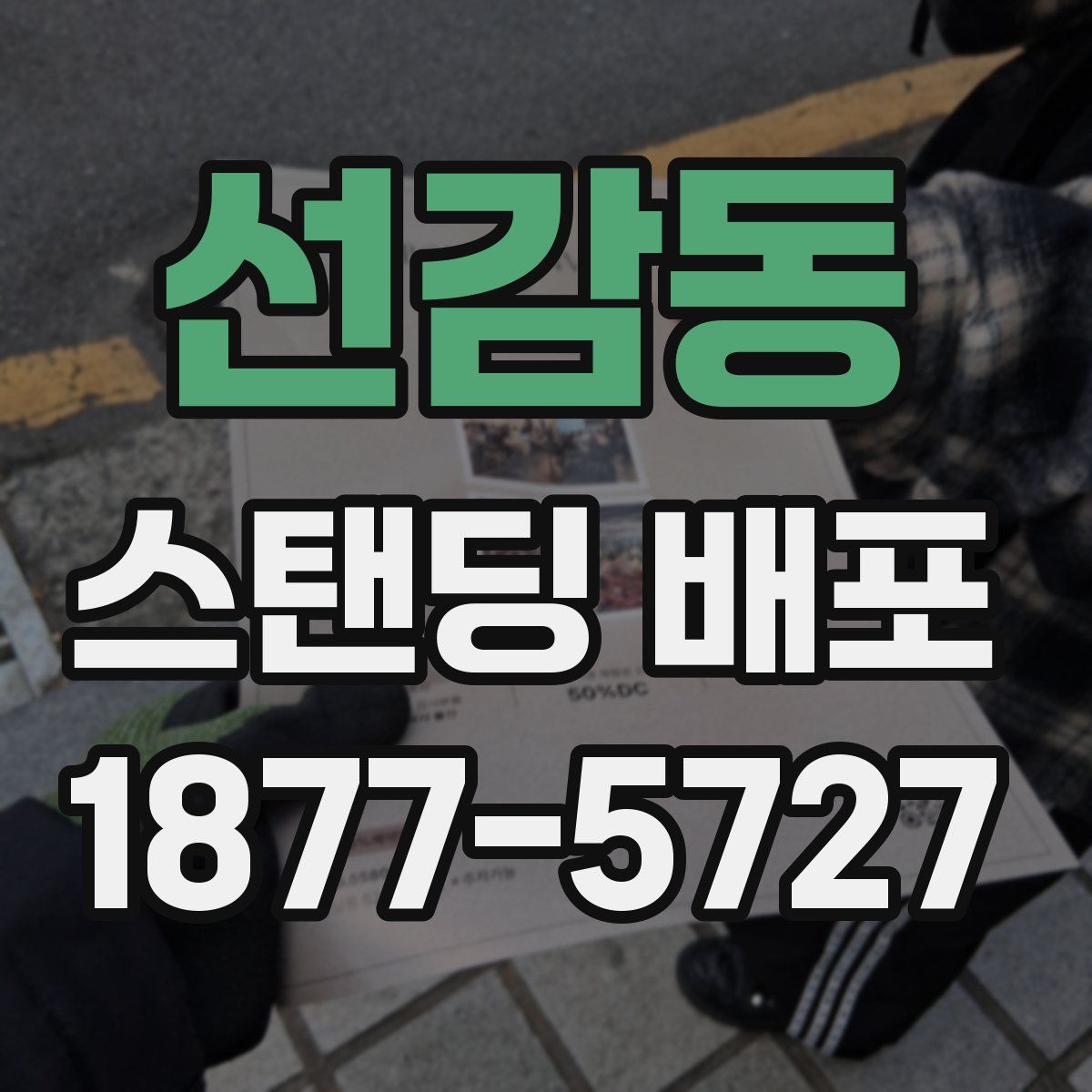 선감동 스탠딩 배포