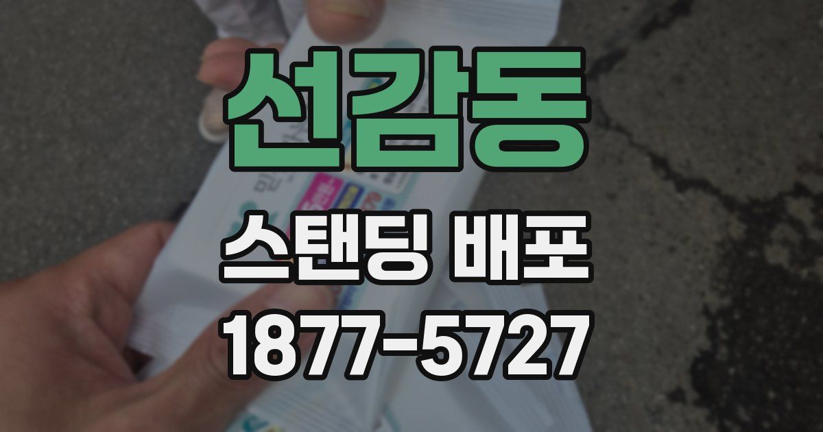 선감동 스탠딩 배포