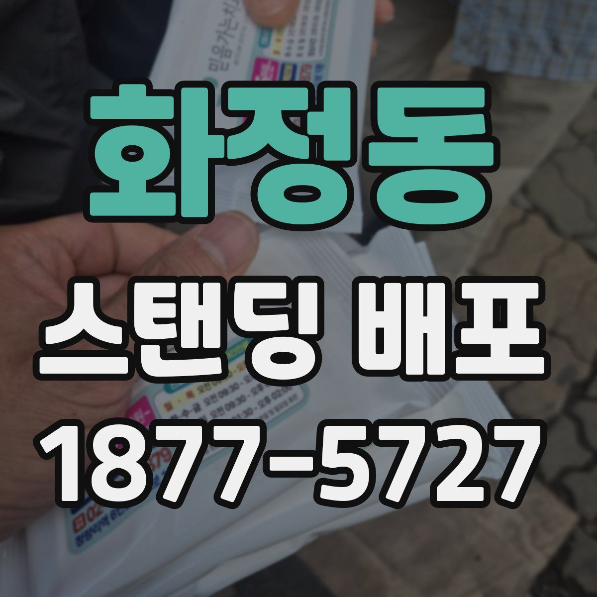 화정동 스탠딩 배포