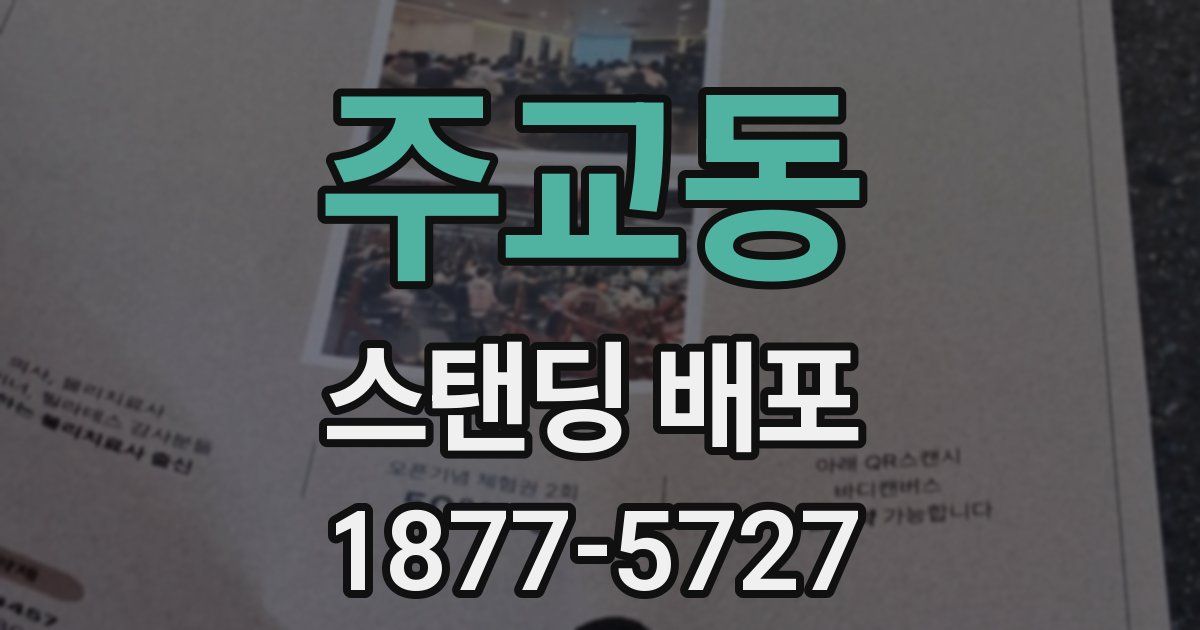 주교동 스탠딩 배포