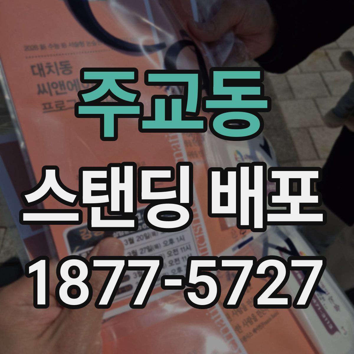 주교동 스탠딩 배포