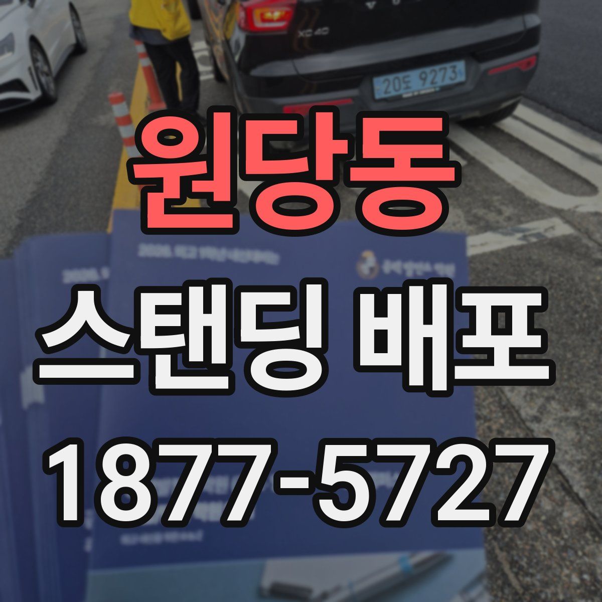 원당동 스탠딩 배포