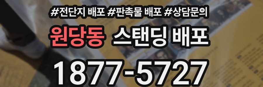원당동 스탠딩 배포