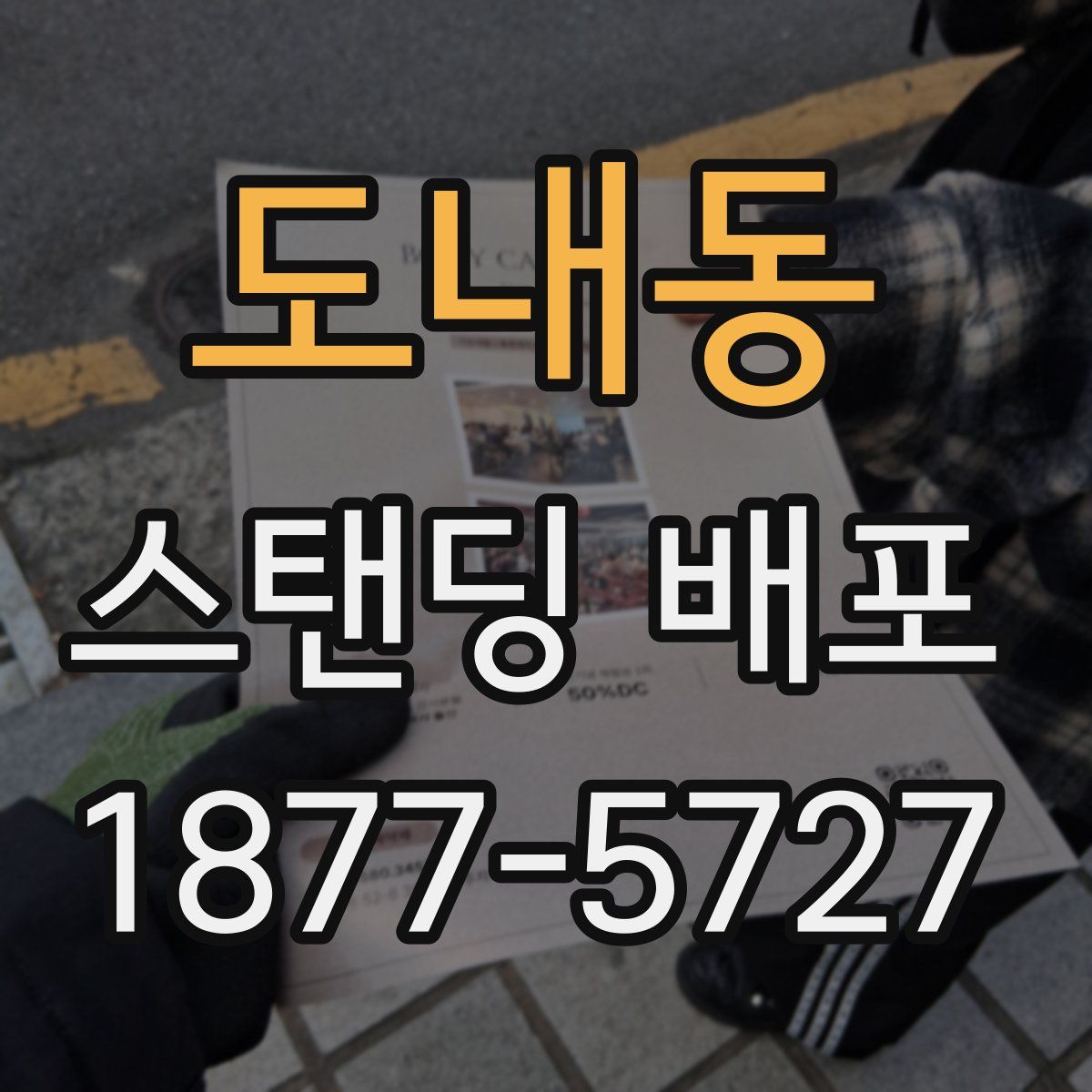 도내동 스탠딩 배포