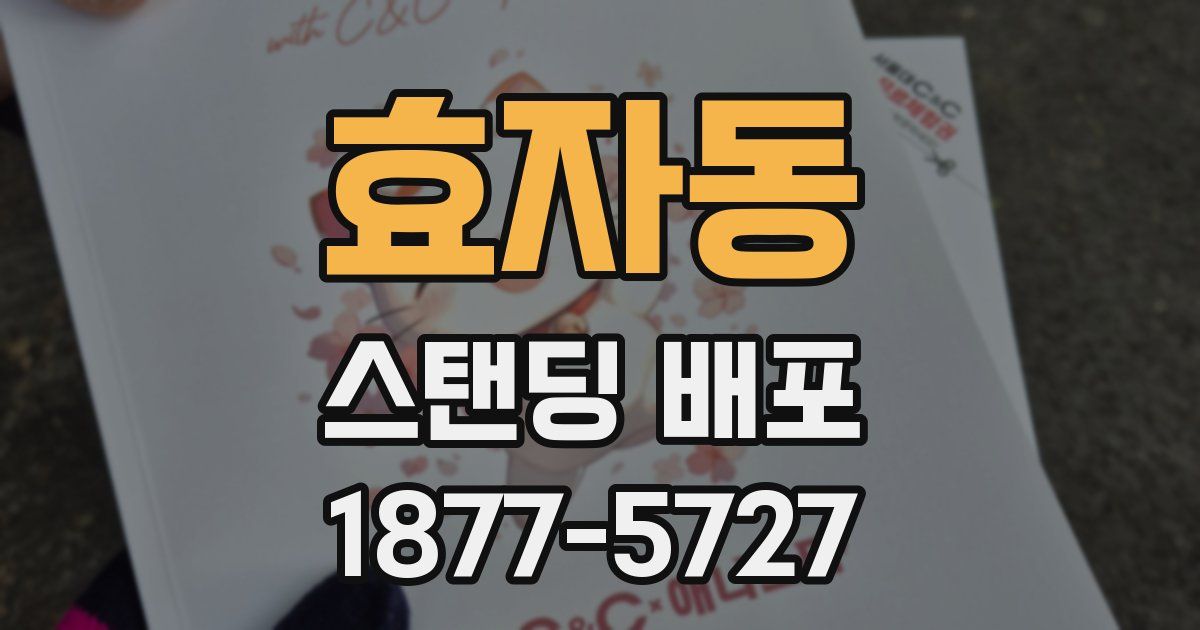 효자동 스탠딩 배포