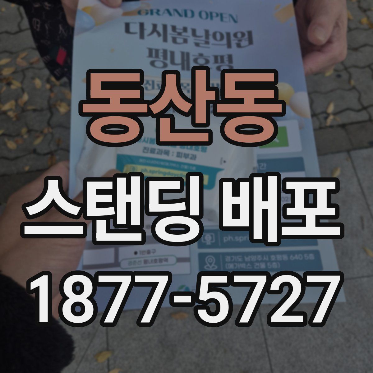 동산동 스탠딩 배포