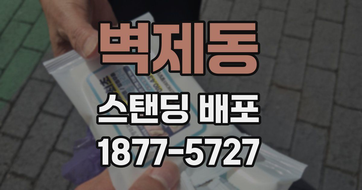 벽제동 스탠딩 배포