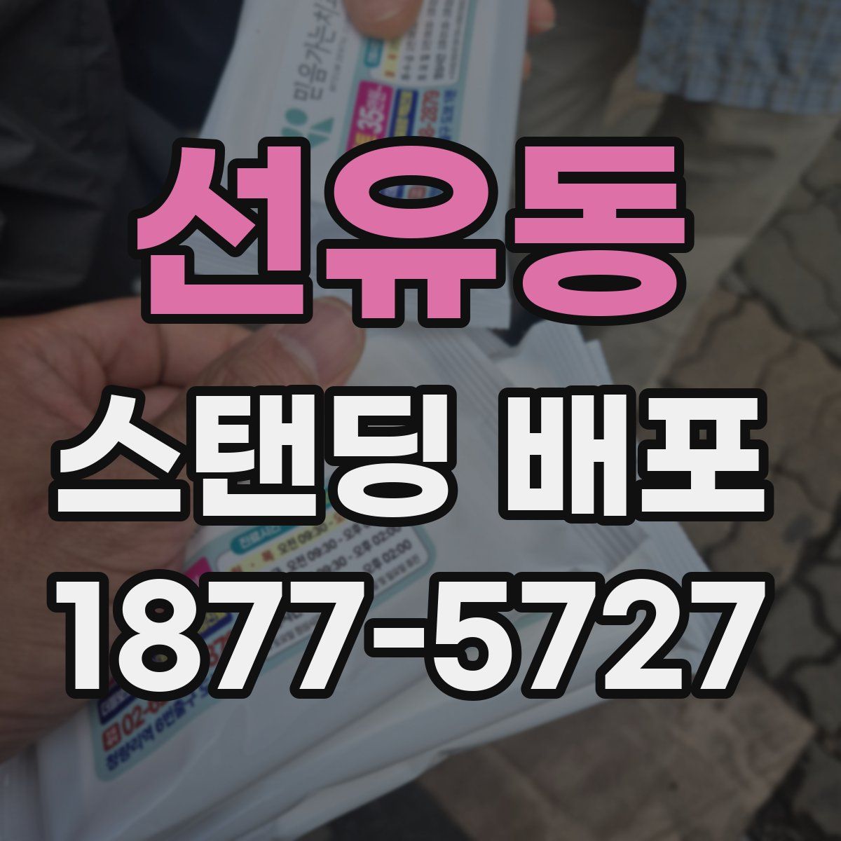 선유동 스탠딩 배포