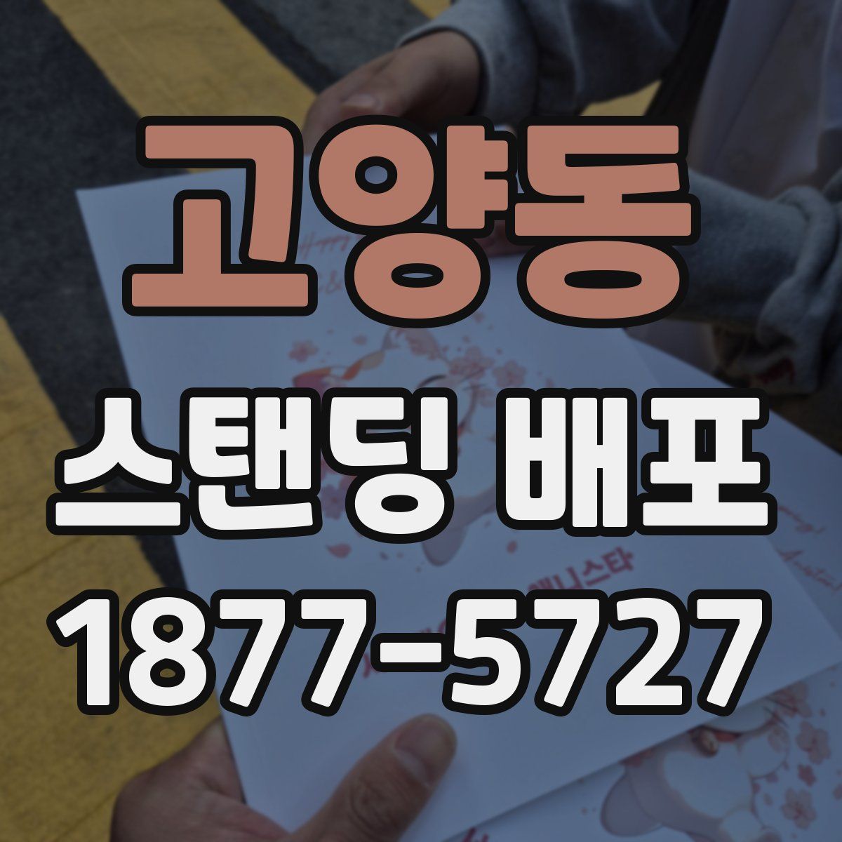 고양동 스탠딩 배포