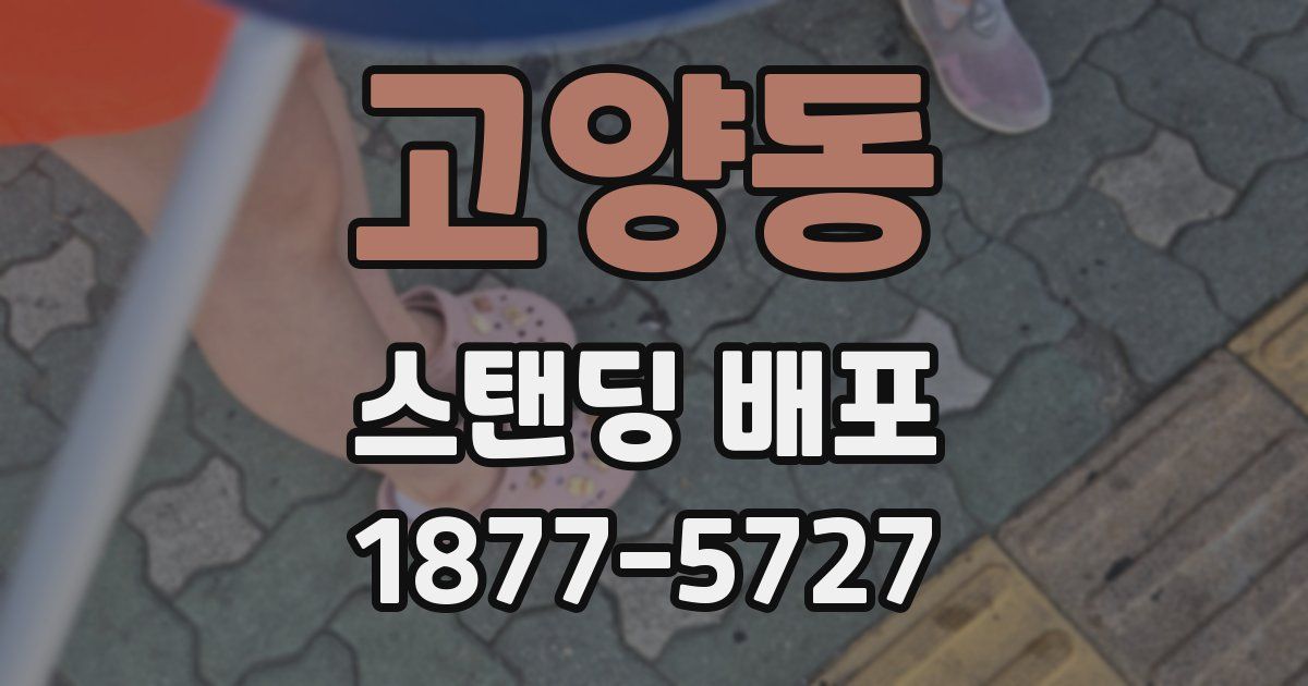 고양동 스탠딩 배포