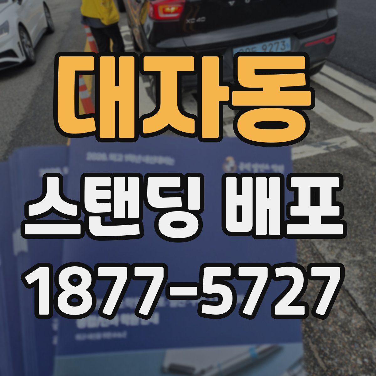 대자동 스탠딩 배포