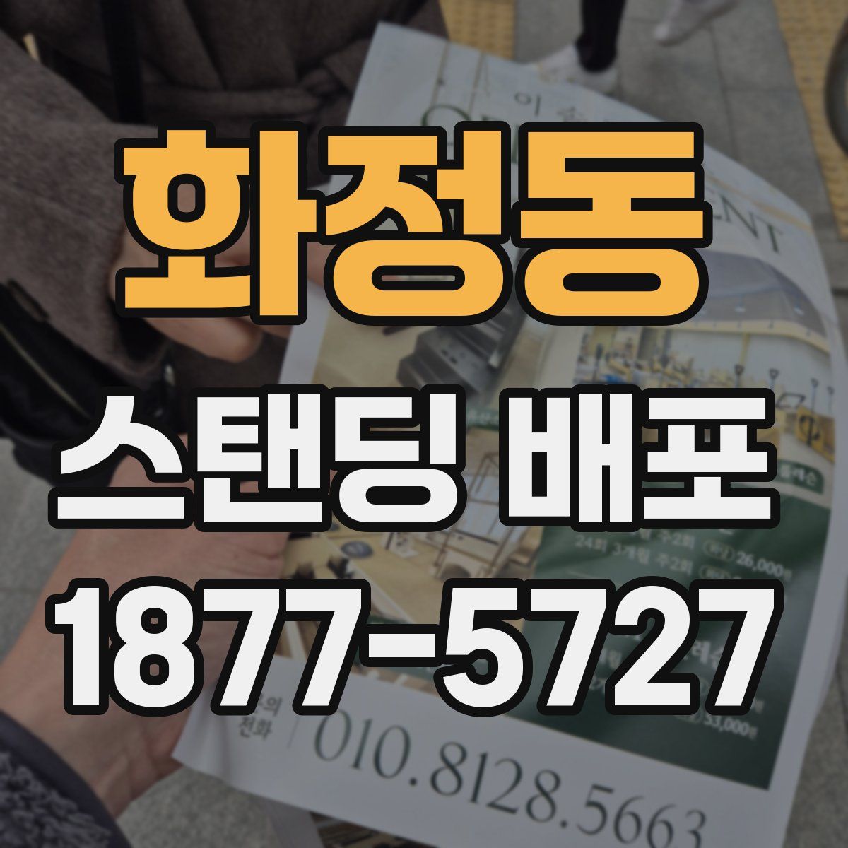화정동 스탠딩 배포