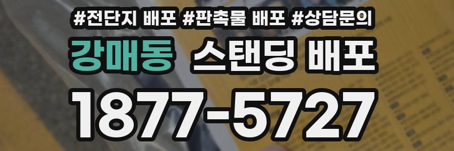 강매동 스탠딩 배포