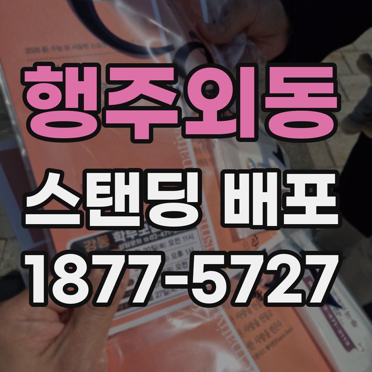 행주외동 스탠딩 배포